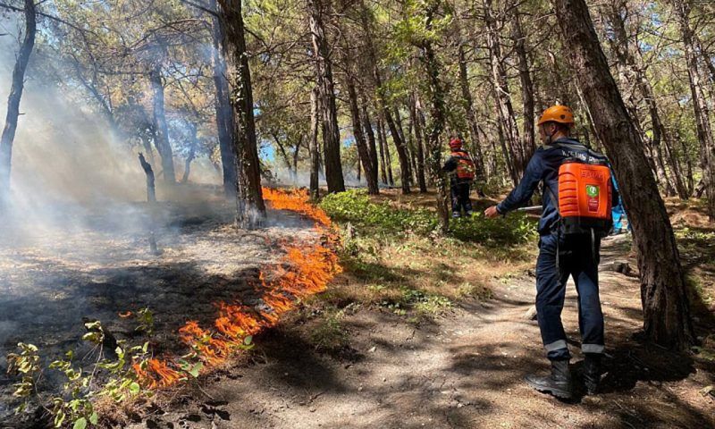 Кондратьев: только за последние две недели на Кубани зафиксировано около десяти возгораний в лесах