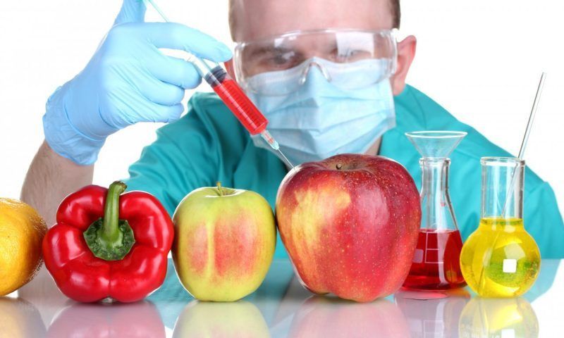 ГМО и рак: правда и мифы о генно-модифицированных продуктах