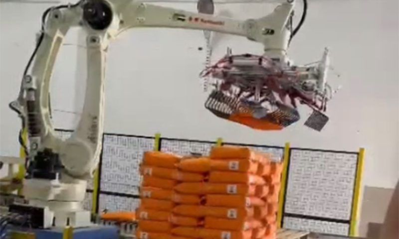 Робот будет фасовать семена кукурузы на заводе в поселке Кубань Краснодарского края