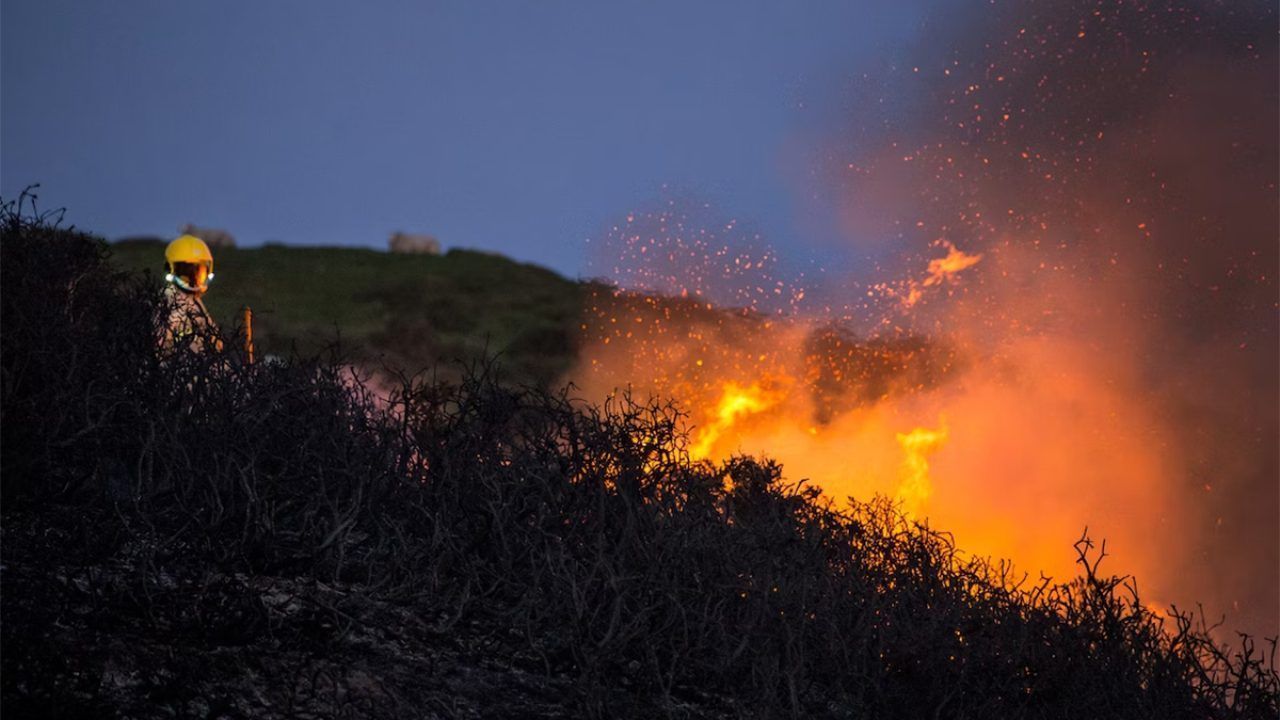 Естественны ли пожары в тайге, и надо ли их тушить?