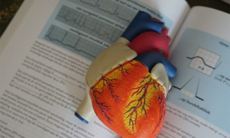 Пять признаков больного сердца, при любом из которых пора к кардиологу
