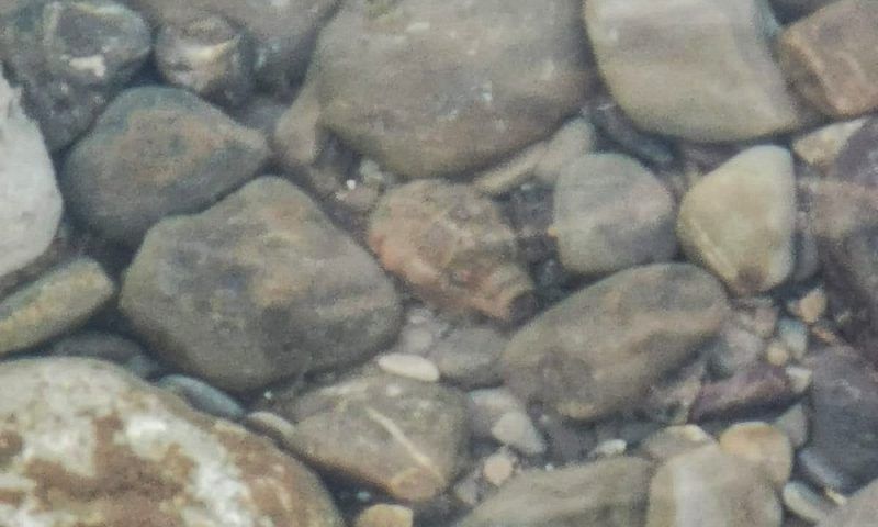 На дне горной реки в центре Сочи нашли гранату