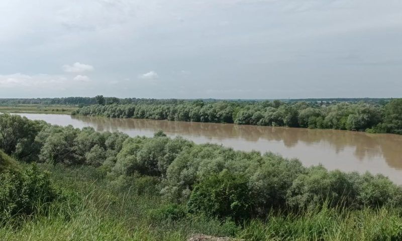 В реке Кубань под Краснодаром нашли тела двух утонувших школьников