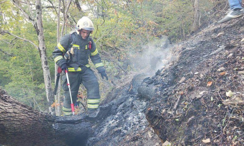 До 118 га увеличилась площадь лесного пожара в Геленджике