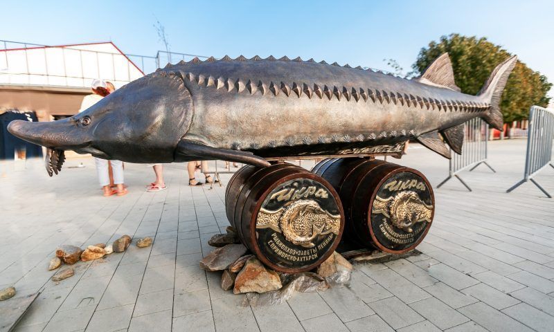Памятник тому, что почти исчезло: скульптуру белуге установили на набережной Приморско-Ахтарске
