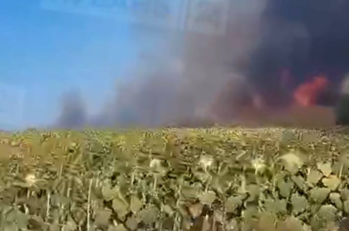 Сухая трава загорелась в Белореченском районе, огонь охватил 360 кв. метров