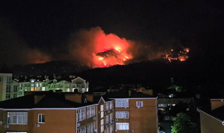 Минприроды: площадь лесного пожара в Геленджике достигла 15 га