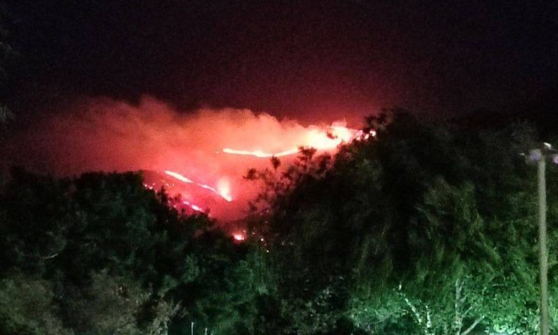 Лесной пожар распространился к вершине горы в Геленджике, угрозы населенным пунктам нет