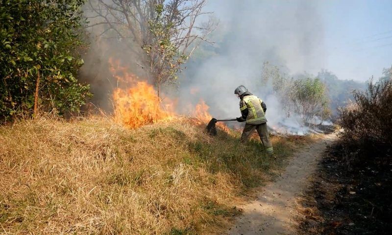 Более 100 пожаров в лесах и на полях с сухой травой зафиксировали с середины августа в Краснодарском крае