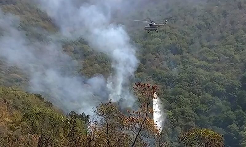 Крупный лесной пожар ликвидировали в Геленджике: каковы последствия возгорания?