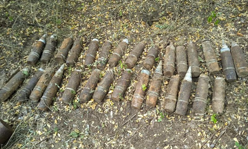 Схрон с артиллерийскими снарядами обнаружили в лесополосе в Краснодарском крае
