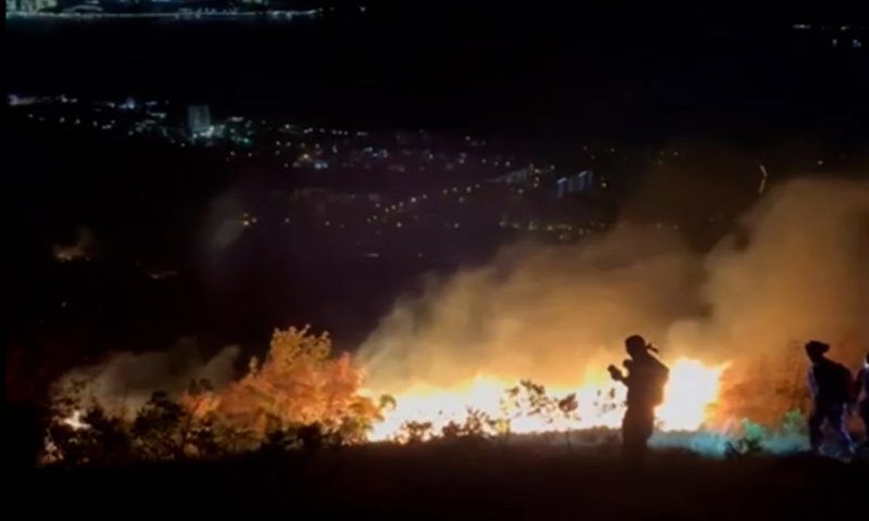 Что известно о крупном лесном пожаре в Геленджике. Видео