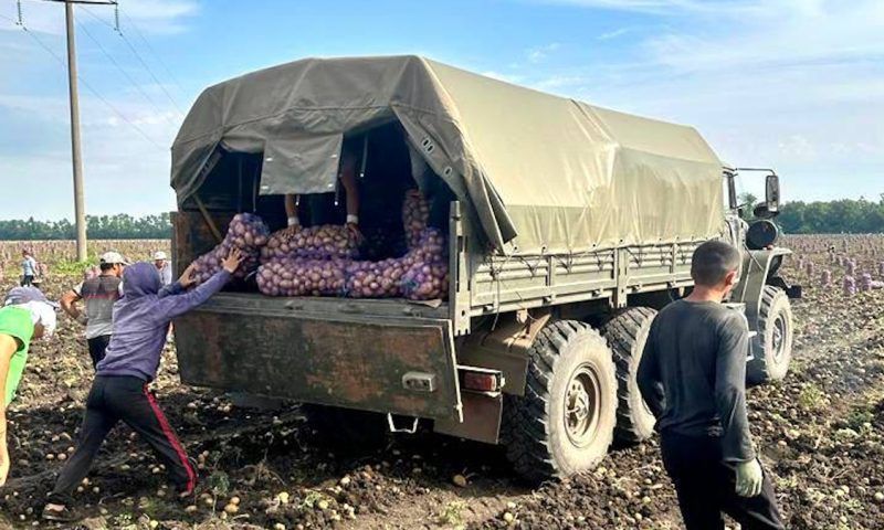 В зону спецоперации доставили 8 тонн картофеля и моркови из Тимашевского района