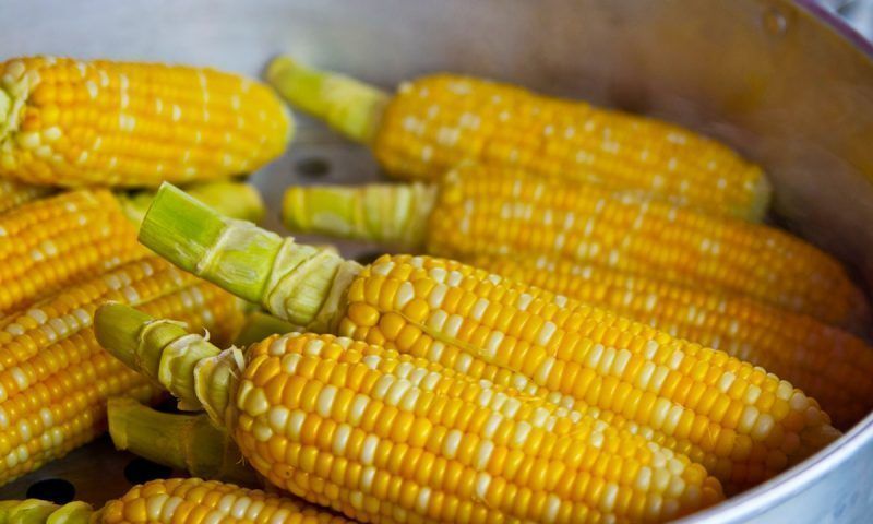 Кукуруза: чем полезна и кому нельзя