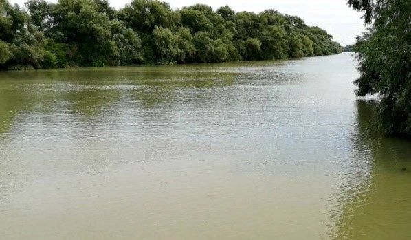 Причины загрязнения реки Кубань выясняют в Ставропольском крае