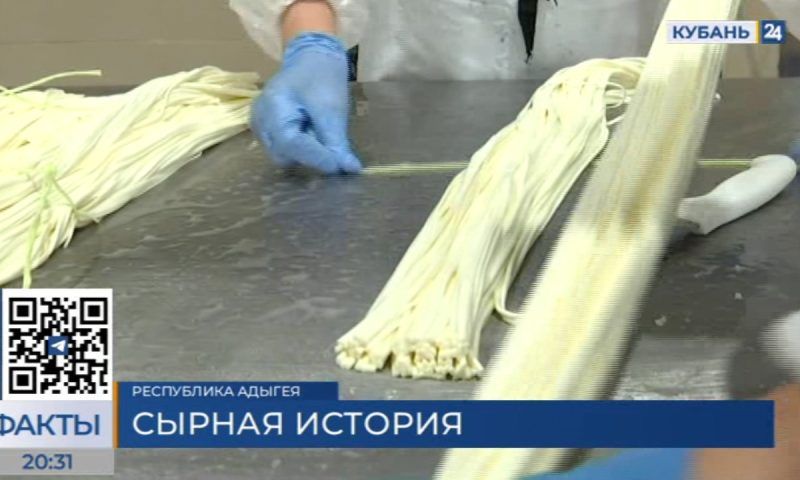 Крупный российский ретейлер производит адыгейский сыр из кубанского молока