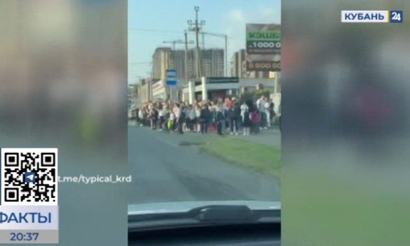 В мэрии Краснодара пообещали взять под контроль школьный пассажиропоток