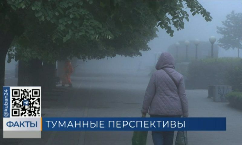 Сезон туманов стартовал в Краснодарском крае