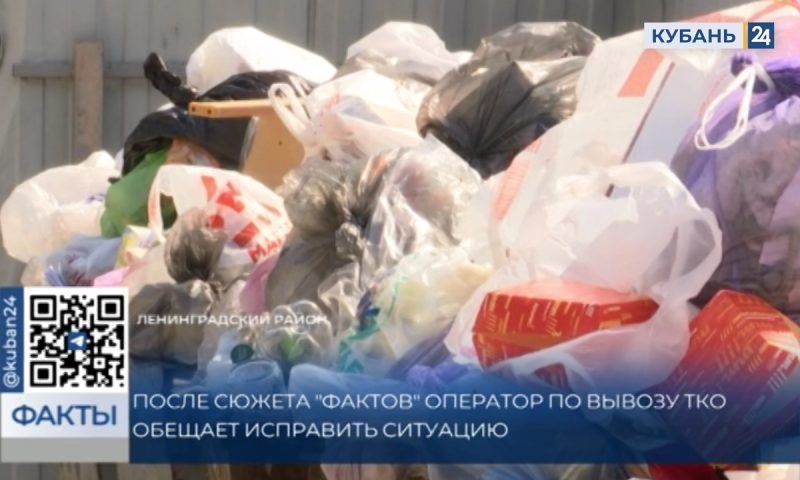 Регоператор пообещал исправить ситуацию с вывозом мусора в 5 районах на Кубани