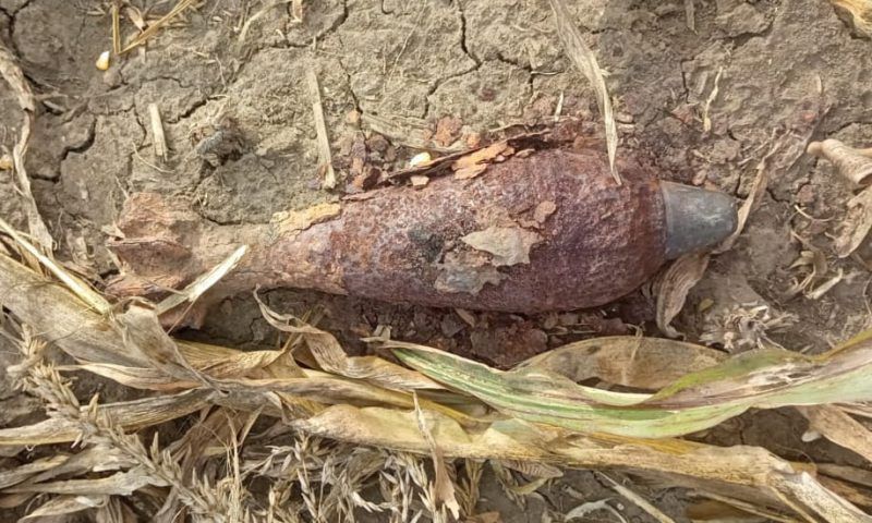 Фермеры нашли ржавую мину при уборке кукурузы в Крымском районе