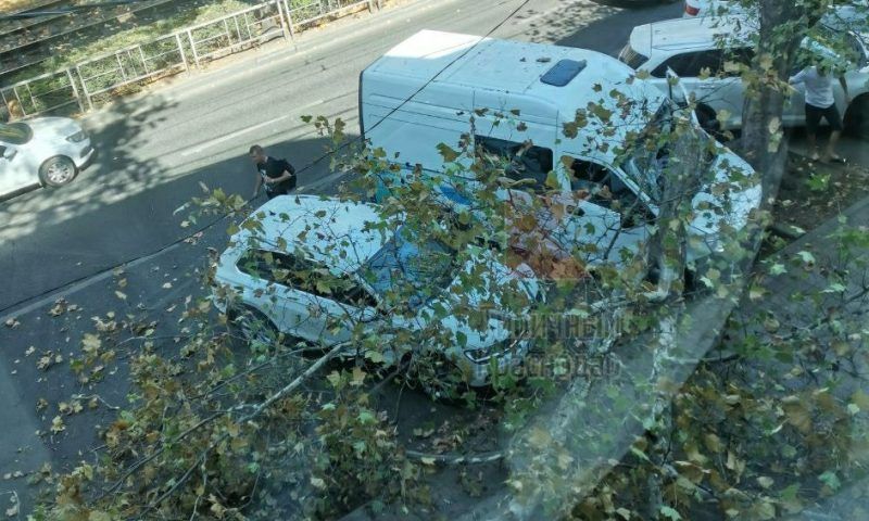 Дерево рухнуло на «Газель» из-за сильного ветра в центре Краснодара