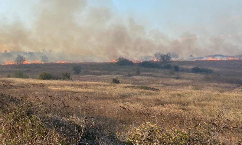 В Анапе спустя 5 часов потушили пожар в поле площадью 2 тыс. кв. метров