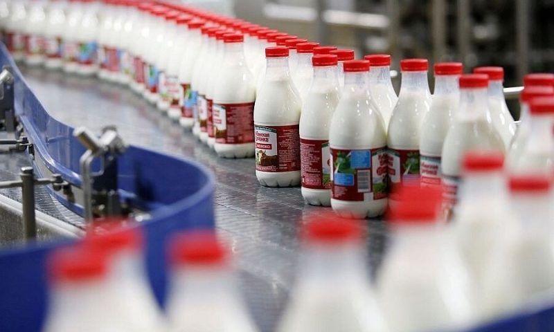 Кондратьев: с начала года на Кубани произвели более миллиона тонн молока