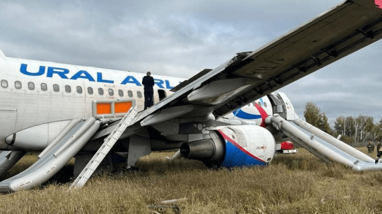 Посадивший в поле самолет Сочи — Омск летчик теперь работает таксистом - 27  апреля, 2024 Все новости, Общество «Кубань 24»