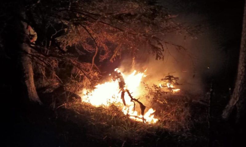В окрестностях Мезмая в Апшеронском районе всю ночь тушили лесной пожар