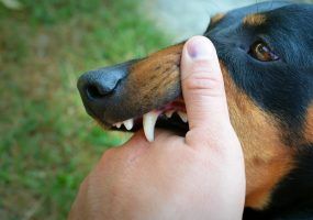 photo_2023-09-08_16-35-35