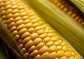 photo_2023-09-11_13-36-03