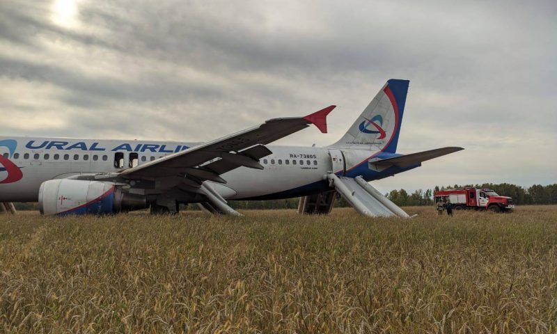 Самолет «Сочи — Омск» экстренно сел на грунт в Новосибирской области