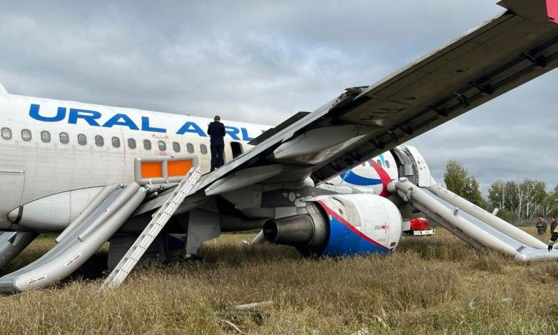 Специалист назвал возможную причину аварийной посадки самолета «Сочи — Омск»