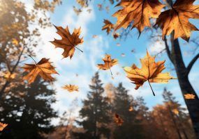 photo_2023-09-18_10-09-39