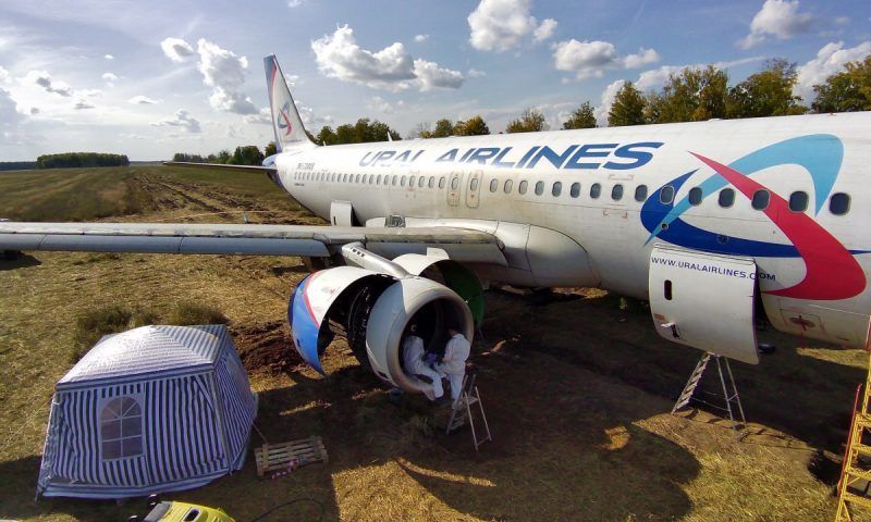 Экстренно севший в поле самолет Сочи — Омск в будущем сможет летать