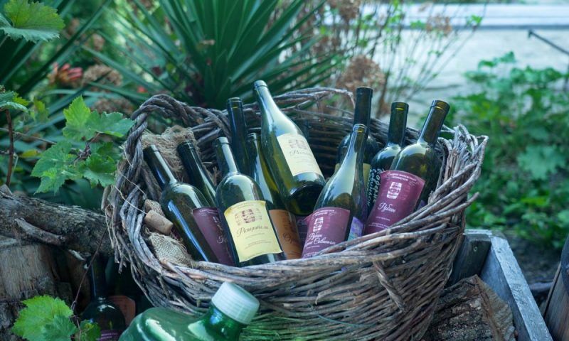 Фестиваль «Черноморская винная неделя» стартует на Кубани с 25 сентября