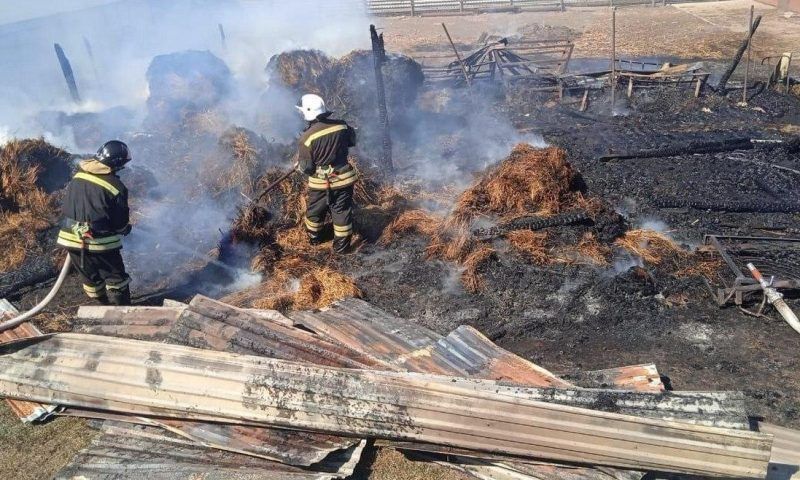 За неделю в Краснодарском крае произошло 433 пожара
