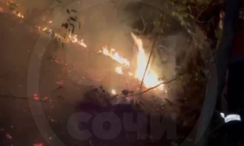 Лесная подстилка загорелась в окрестностях Дагомыса в Сочи