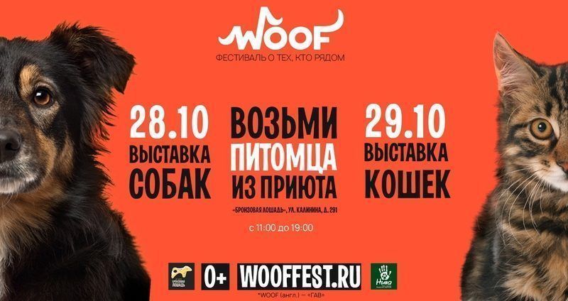 Фестиваль-выставка бездомных животных пройдет в Краснодаре