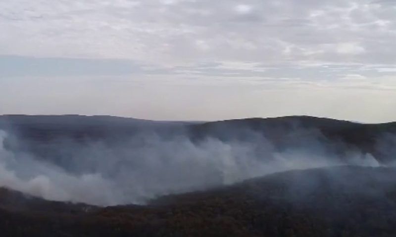 Пожар на склоне горы Собер-Баш под Краснодаром локализовали на площади 14,8 га