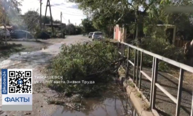 К ликвидации последствий ураганного ветра приступили в Тимашевском районе