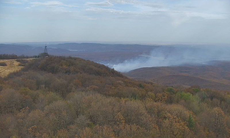 Крупный пожар на склоне горы Собер-Баш под Краснодаром потушили спустя сутки