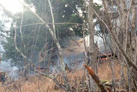Пожар площадью 8,9 га потушили у Чай-горы в Краснодарском крае