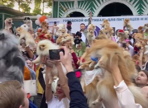 В Сочи прошел самый массовый в России парад шпицев