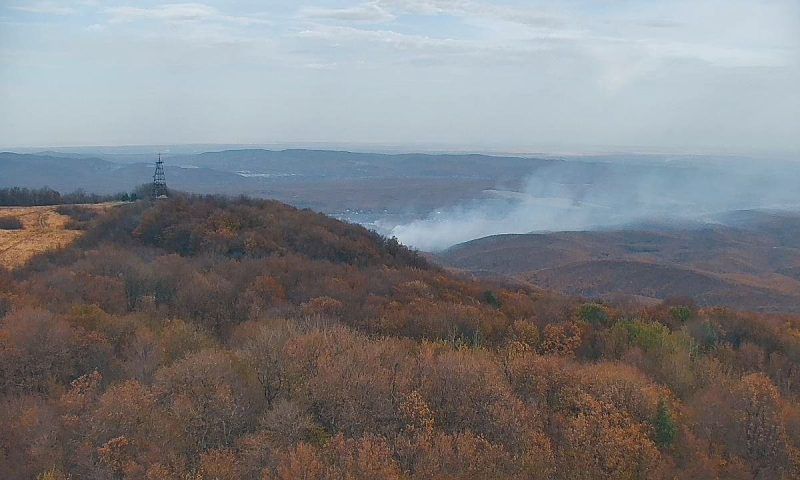 Площадь пожара на склоне горы Собер-Баш под Краснодаром выросла до 8,5 га