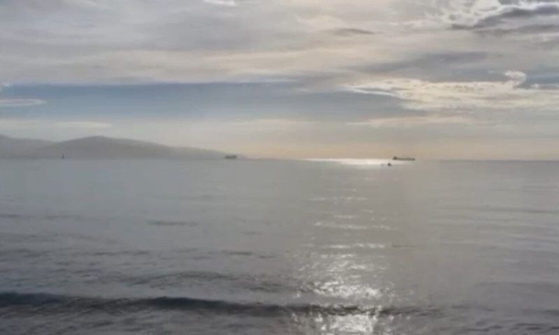Корабельную мину обезвредили районе пляжа «Алексино» в Новороссийске