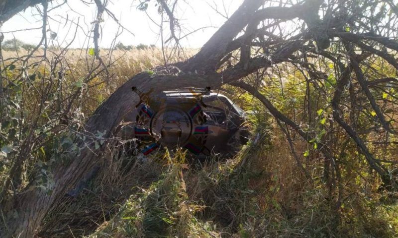 Водитель иномарки погиб, влетев в дерево в Славянском районе