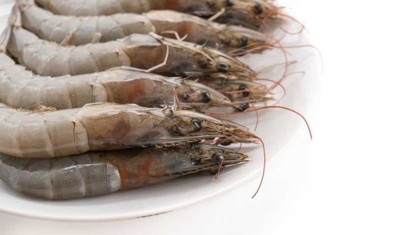Аллергия на морепродукты