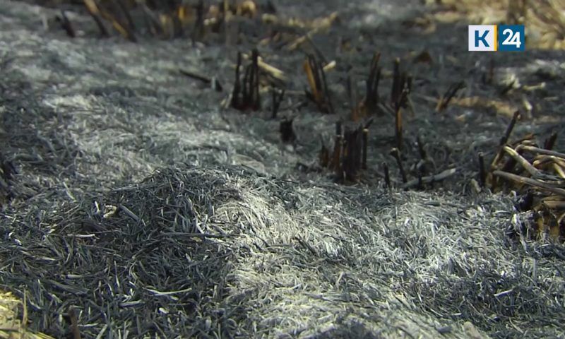 Жители Краснодара и Адыгеи пожаловались на смог от сжигания рисовой соломы