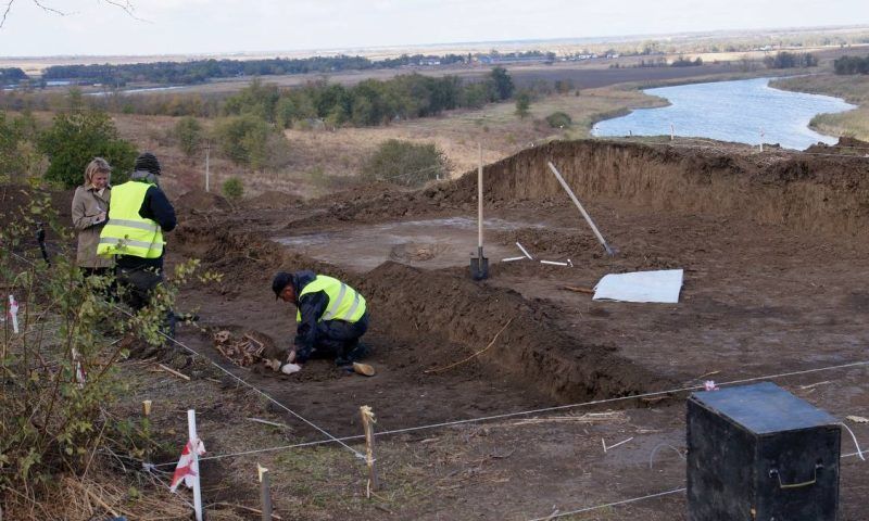 Захоронение возрастом около 1,4 тыс. лет обнаружили в Новопокровском районе